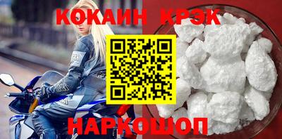 бошки Кингисепп