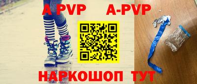 бошки Кингисепп